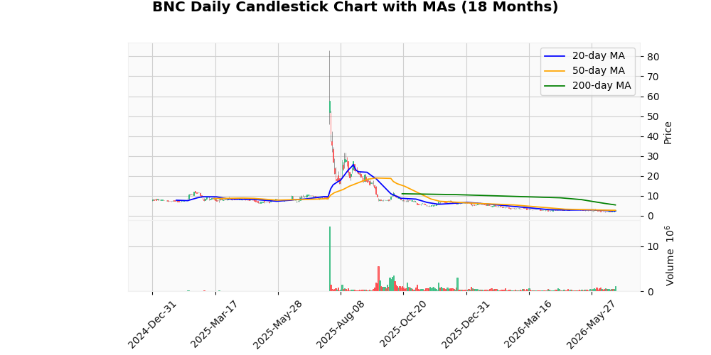 CEA Industries Inc. (BNC) Drops 0.00% After Earnings
