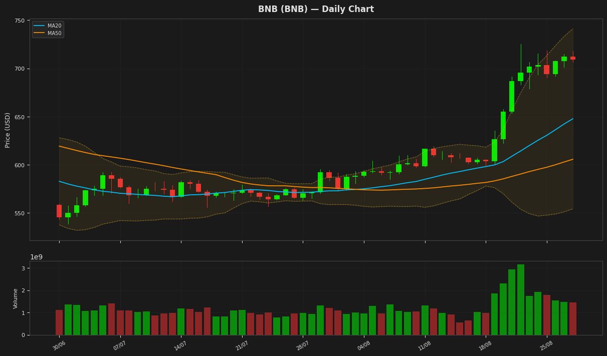 BNB chart