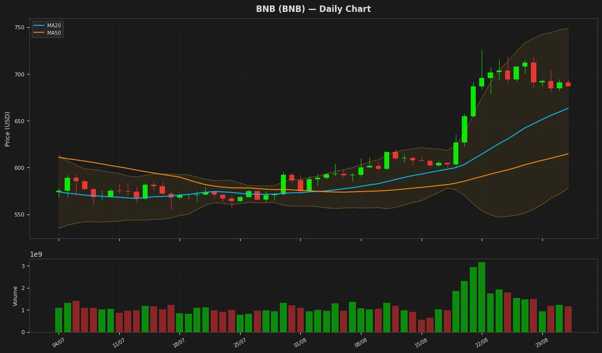 BNB chart