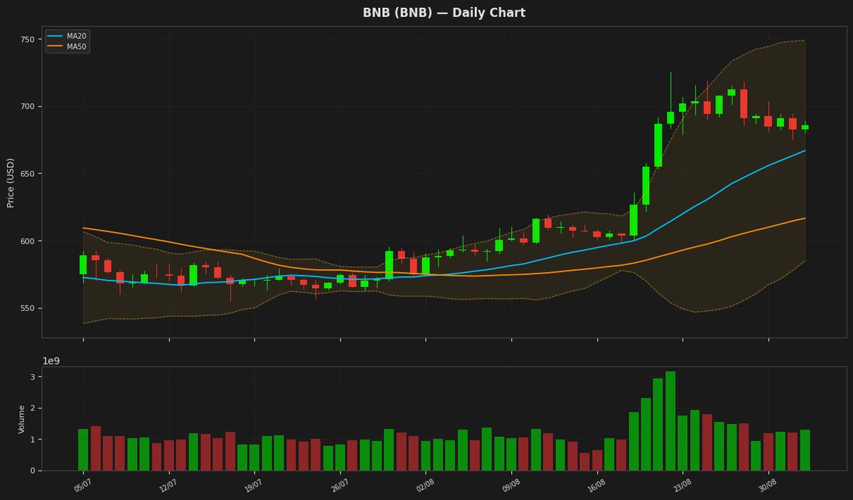 BNB chart