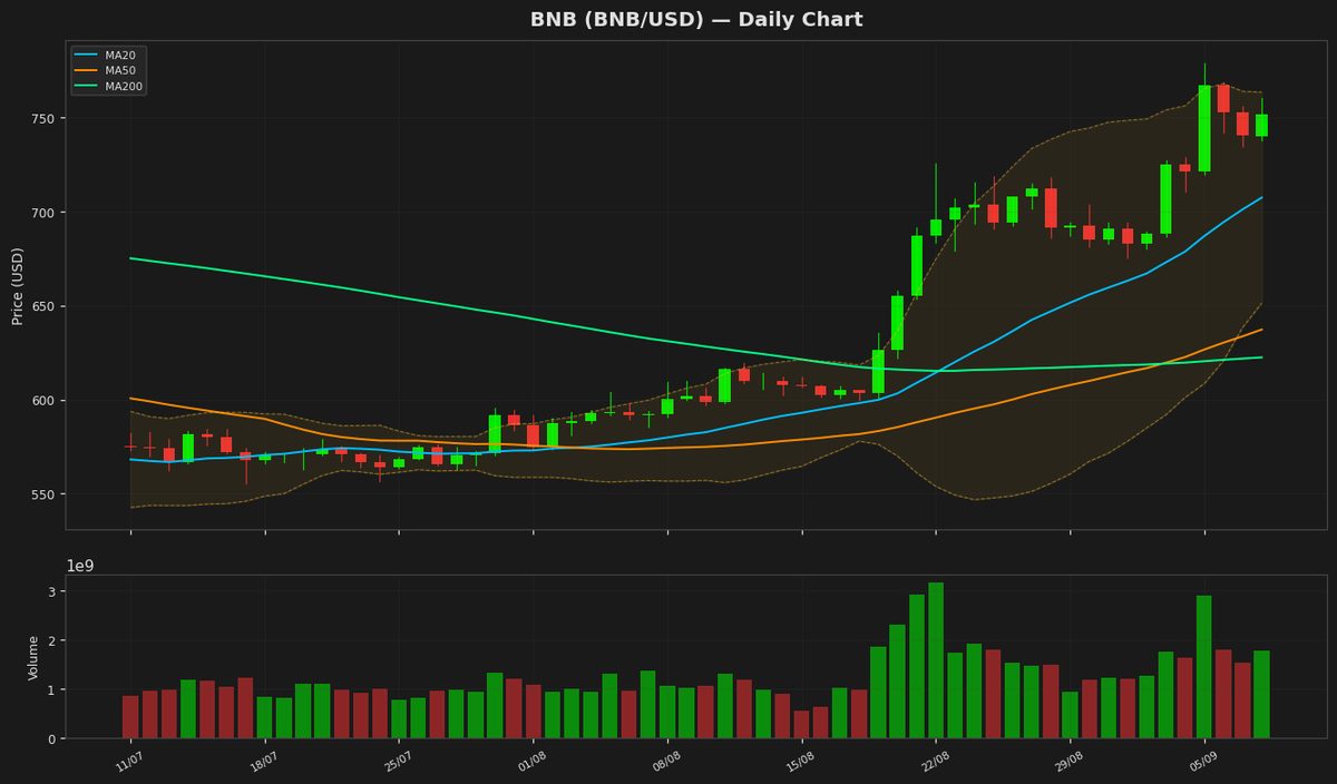 BNB Eyes $800 as RSI Nears Overbought Zone