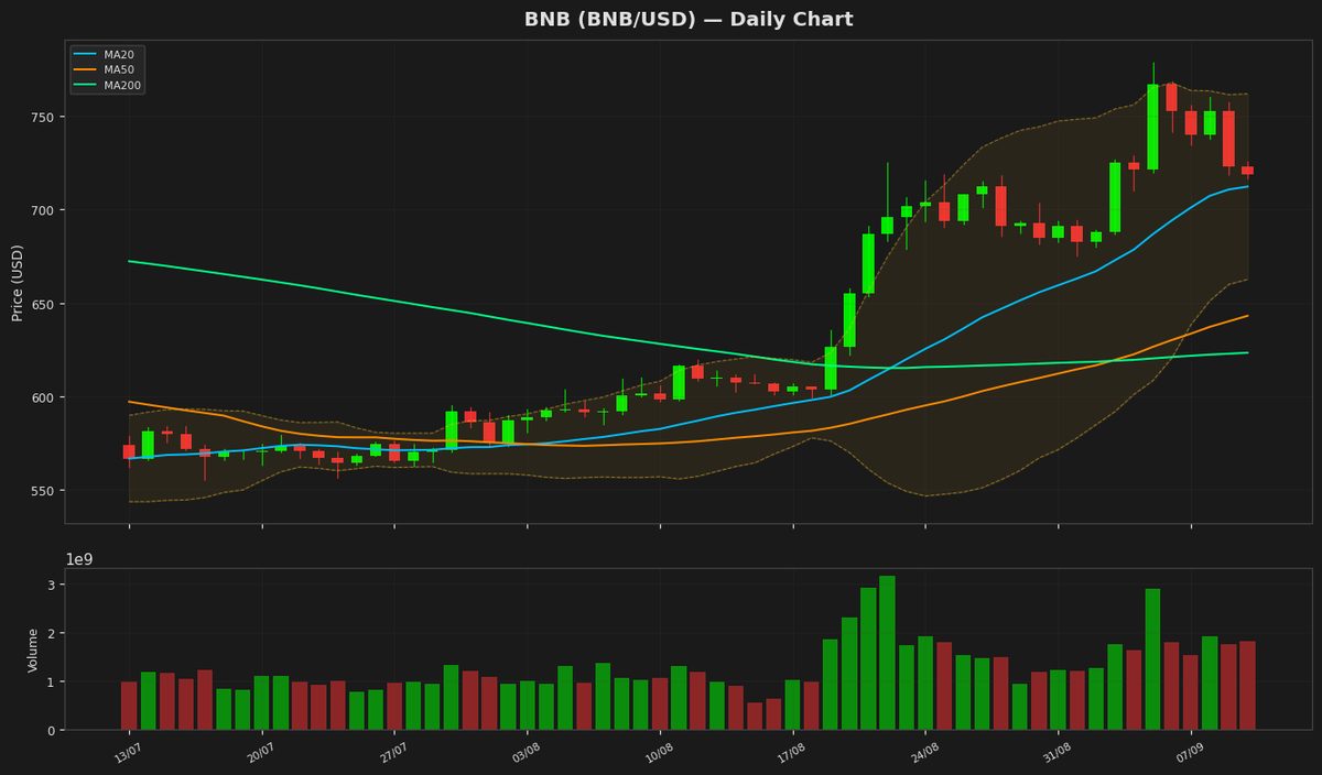 BNB Holds at $718 as RSI Nears Midpoint, Bears Lurk
