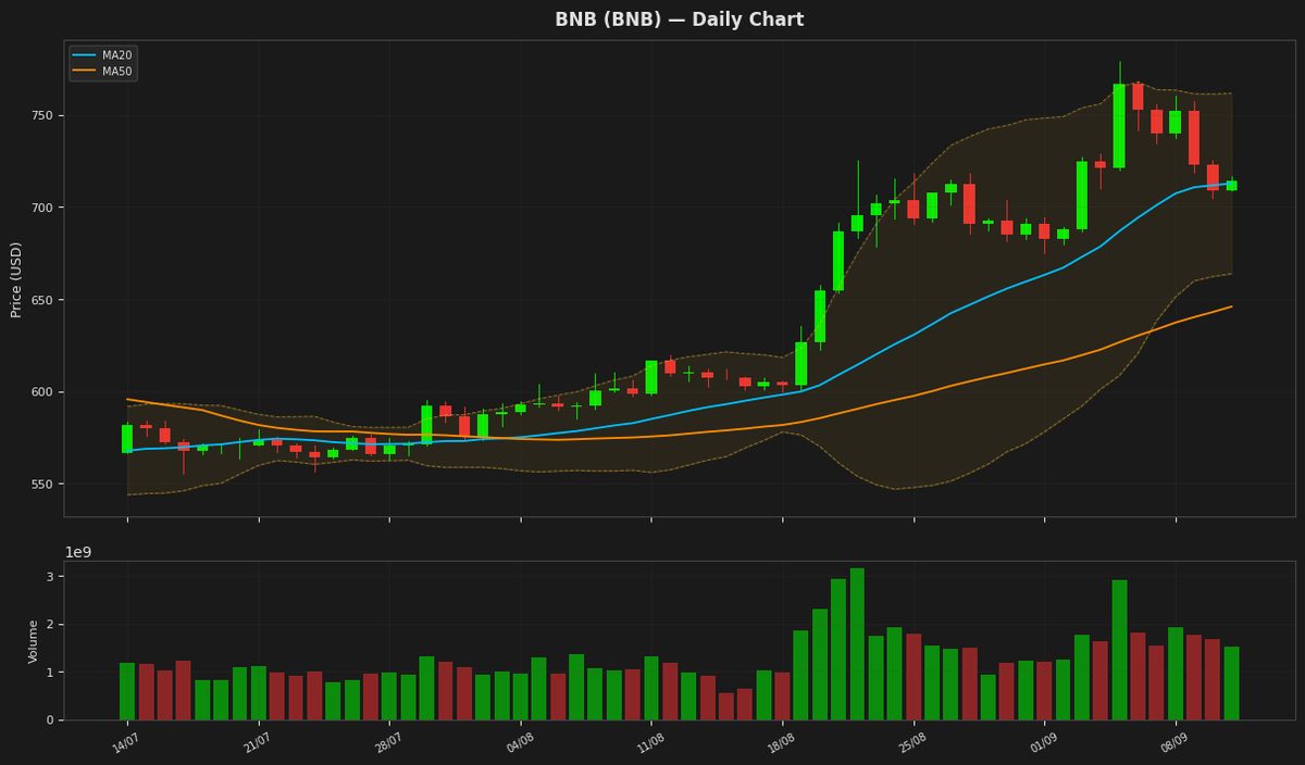 BNB chart