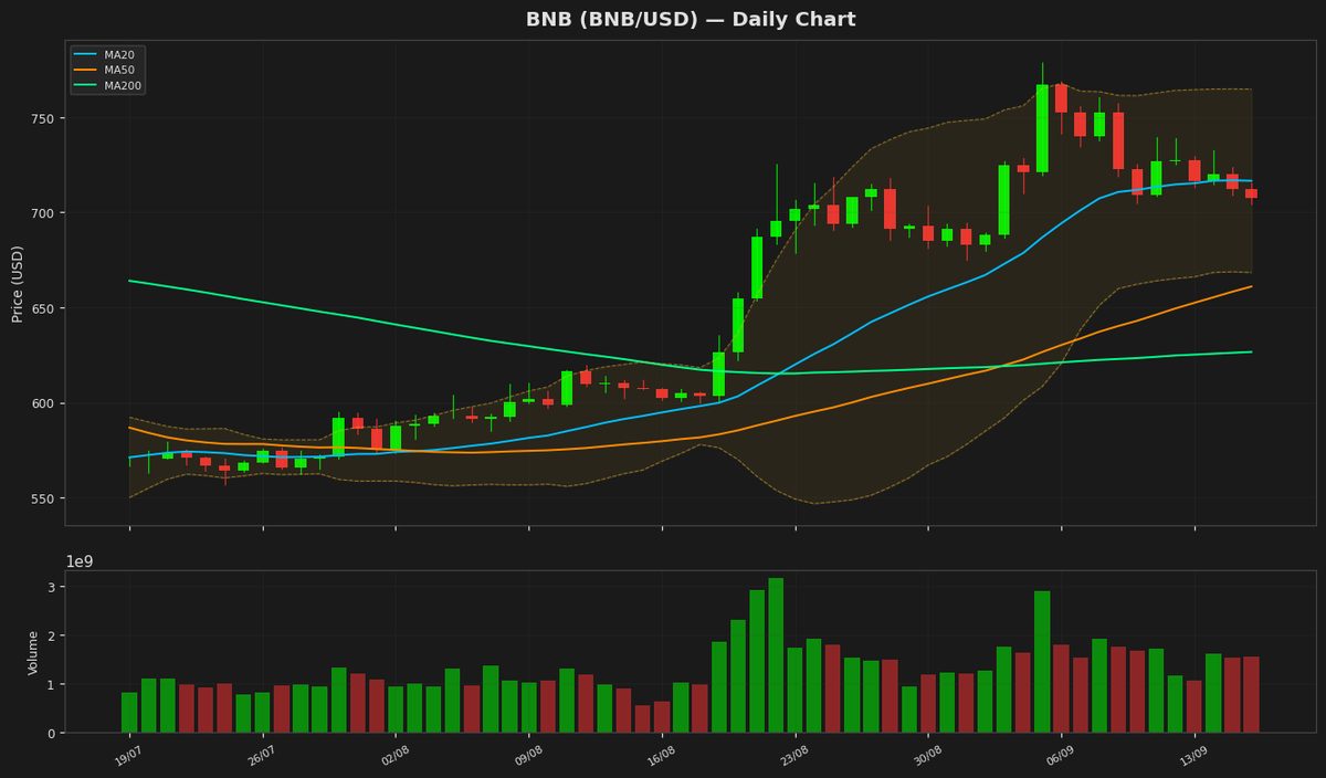 BNB Dips to $707 as RSI Hints at Potential Rebound
