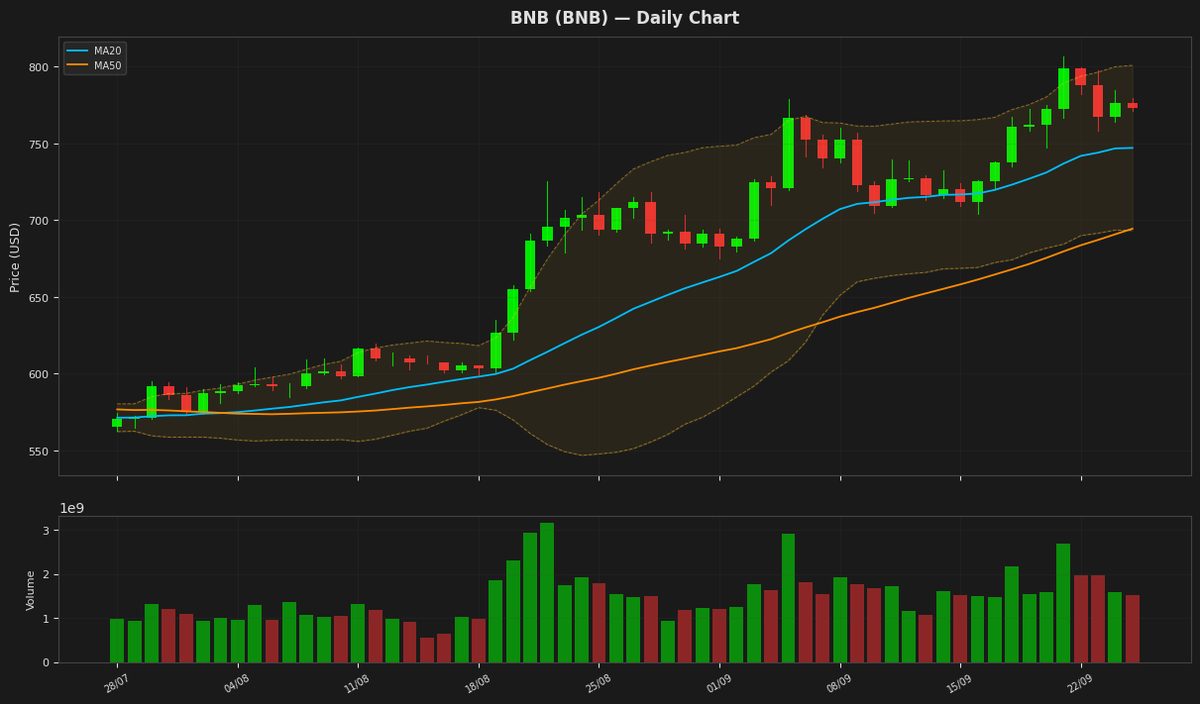 BNB chart