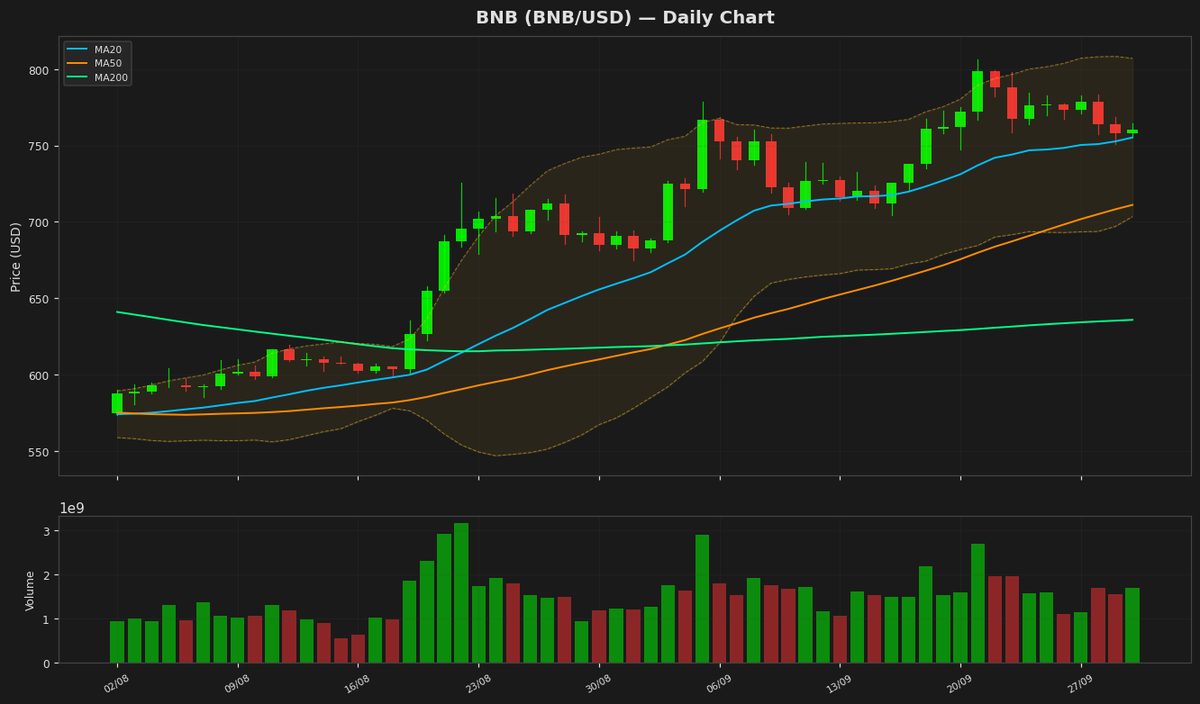 BNB Eyes $800 as RSI Nears Overbought at $760.56