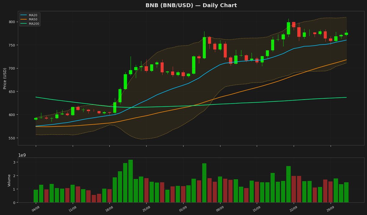 BNB Eyes $800 as RSI Nears Bullish Zone