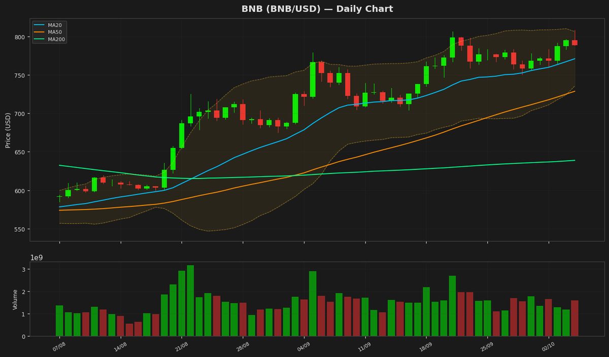 BNB Tests Key Support at $788 as RSI Nears Oversold