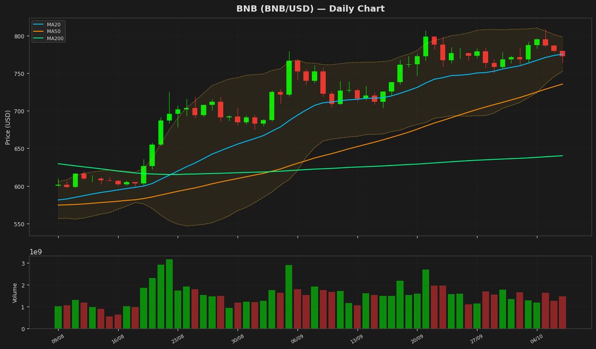 BNB Holds at $772 as RSI Nears Midpoint, Eyes Rebound