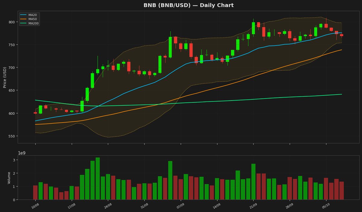 BNB Dips to $768.29, RSI Nears Oversold at 45.9