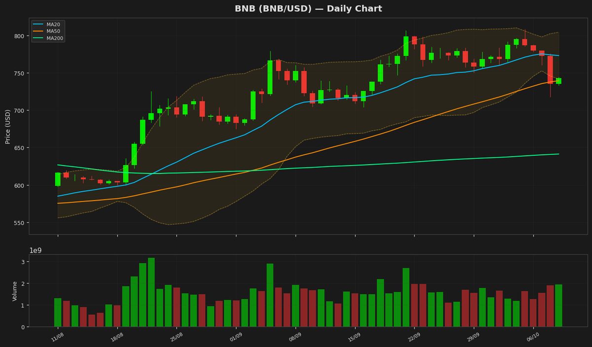 BNB Eyes Rebound as RSI Nears Oversold at $742.82 (+1.05%)