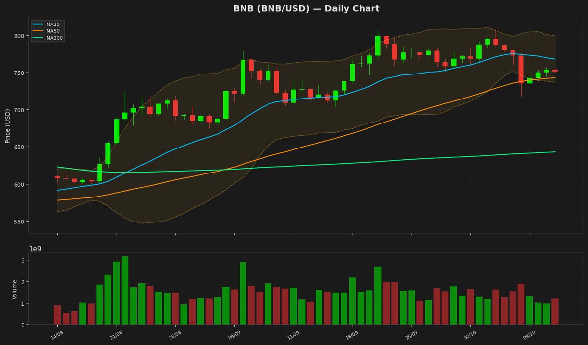 BNB testa il supporto chiave a $751 mentre l'RSI si avvicina alla zona di ipervenduto