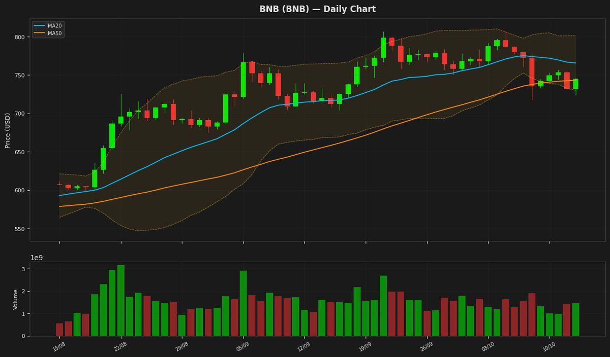 BNB chart