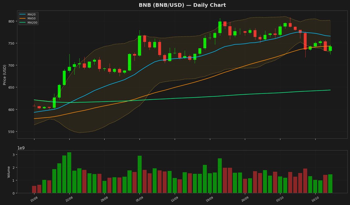BNB apunta a $750 mientras que el RSI sugiere un posible rebote