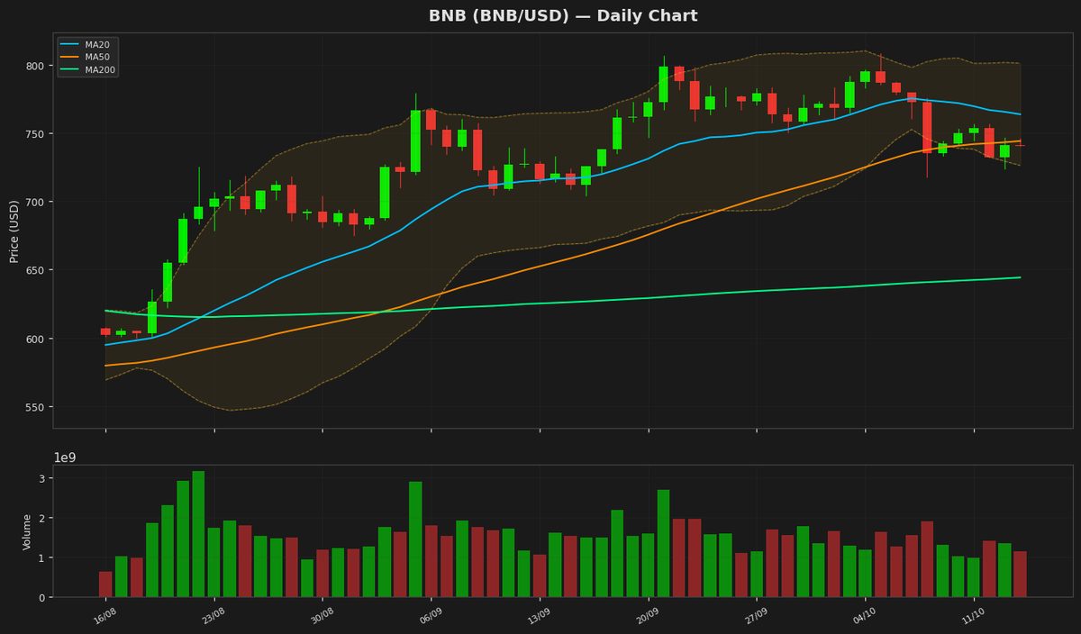 BNB Tests $740 as RSI Nears Oversold Zone