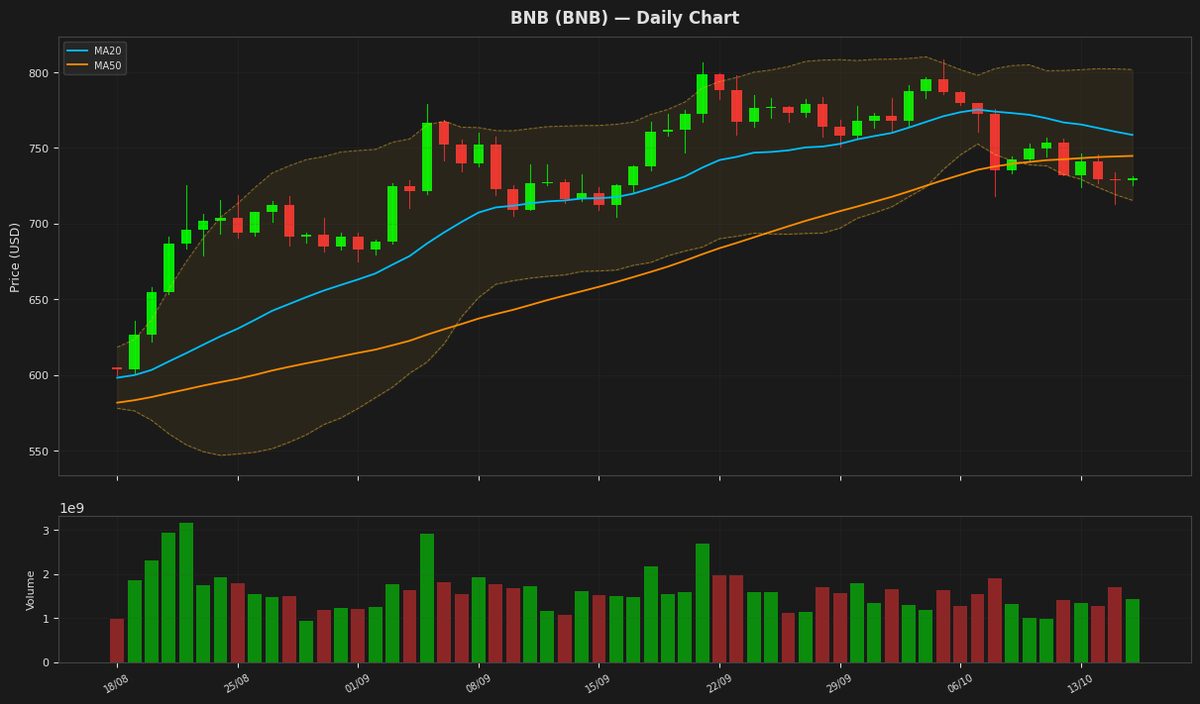 BNB chart