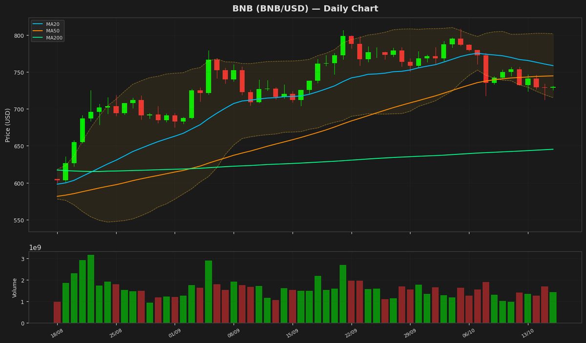 BNB en $730: RSI en sobreventa sugiere potencial de rebote