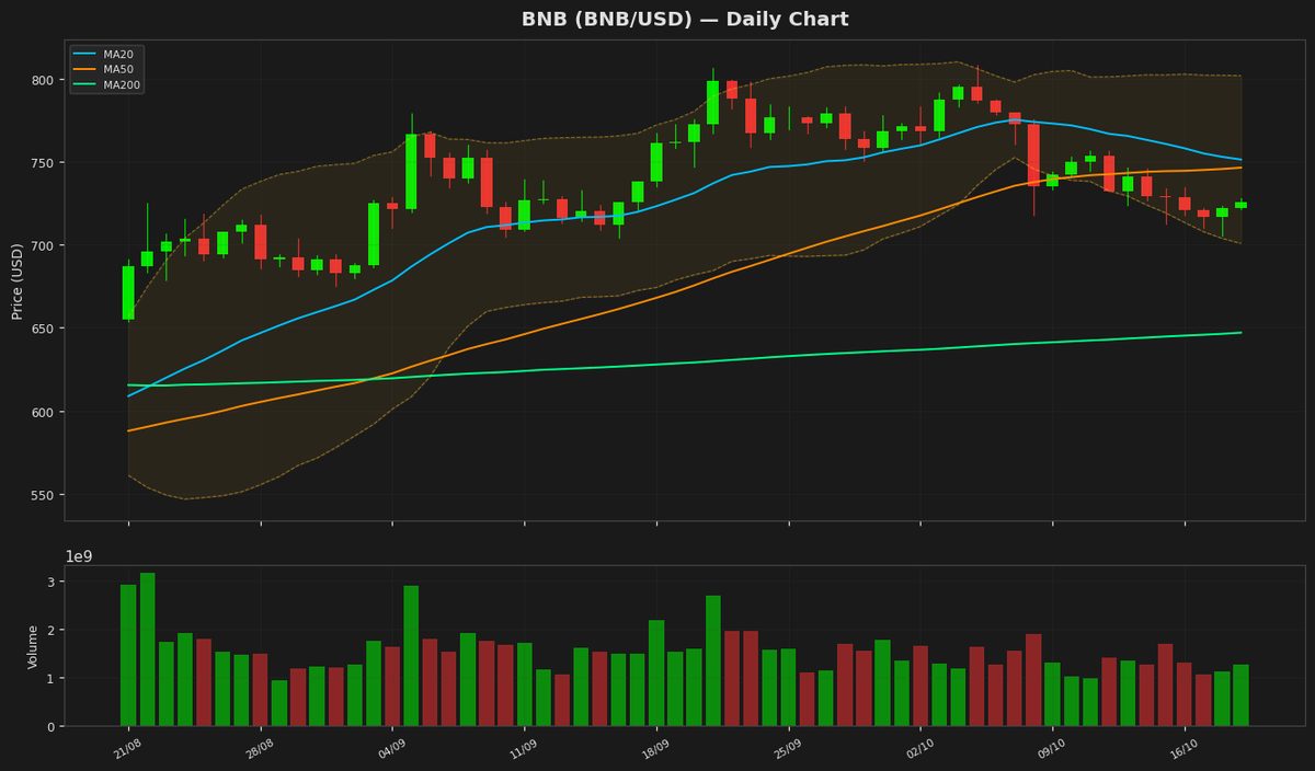 ¿BNB en $725: ¿El RSI en sobreventa sugiere un rebote?