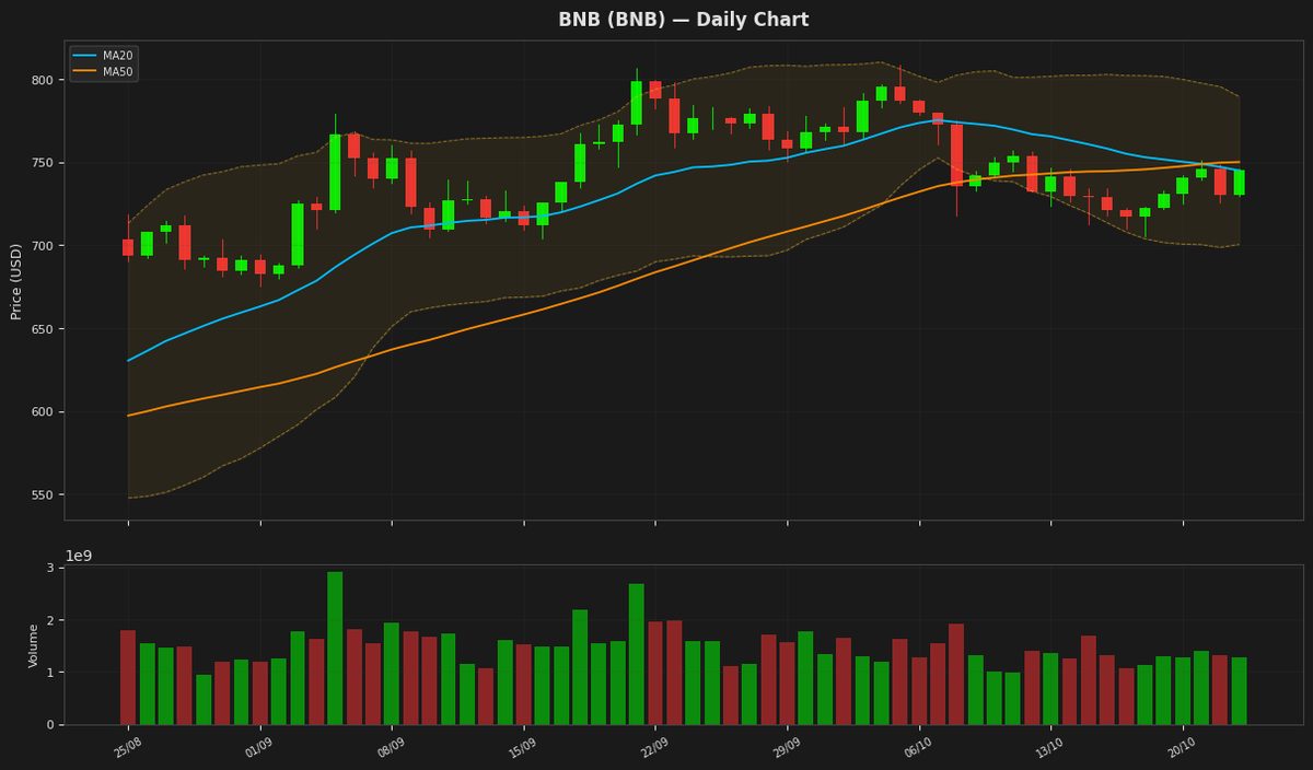 BNB chart
