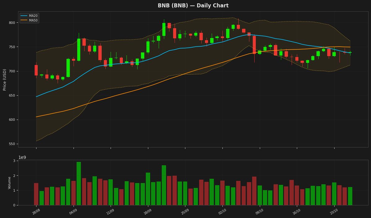 BNB chart