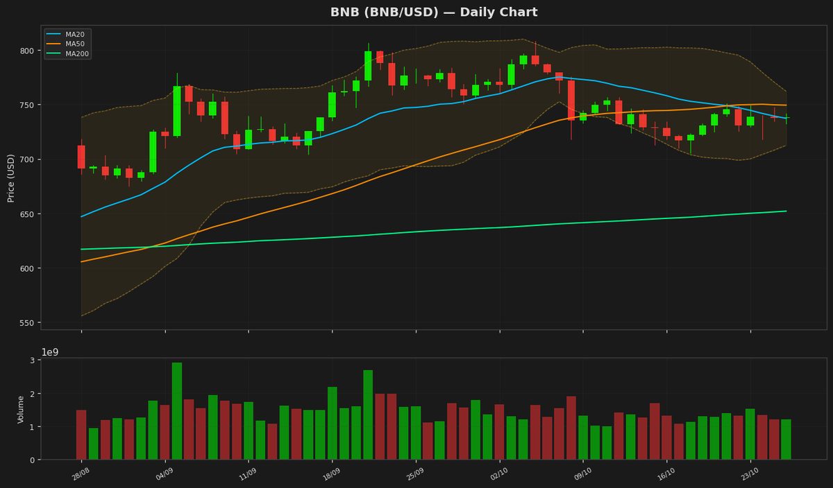 BNB Holds Steady at $738 as RSI Points to Balance