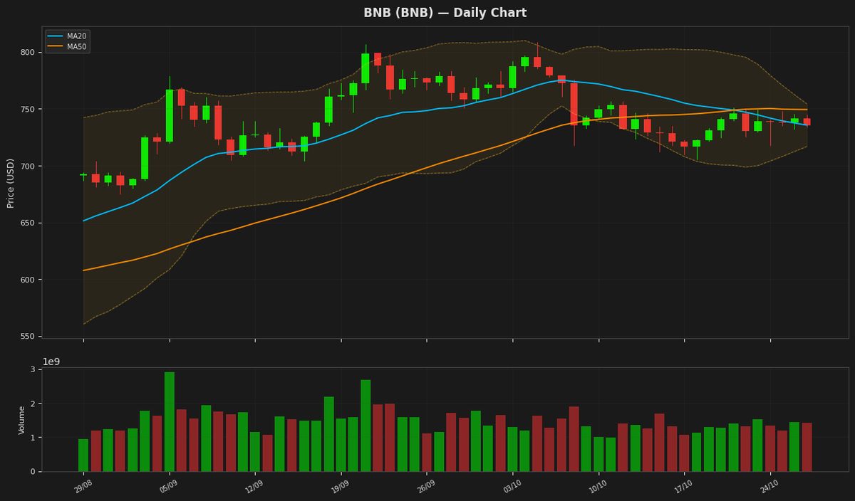 BNB chart