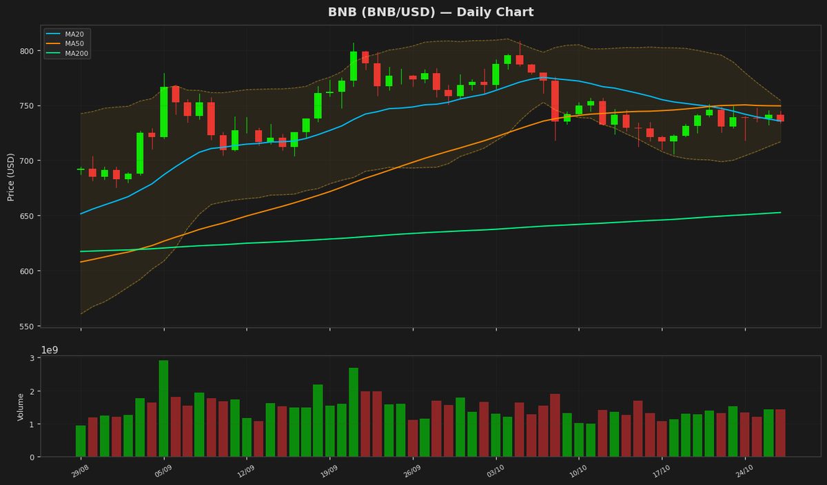 BNB Tests $735 as RSI Hints at Potential Rebound