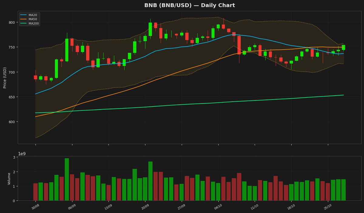 BNB Eyes $800 as RSI Hits 65 Amid Bullish Momentum