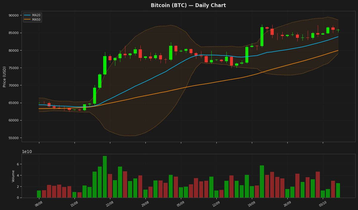 Crypto Market Slumps: BNB, Dogecoin, and Ripple Lead Today's Losses