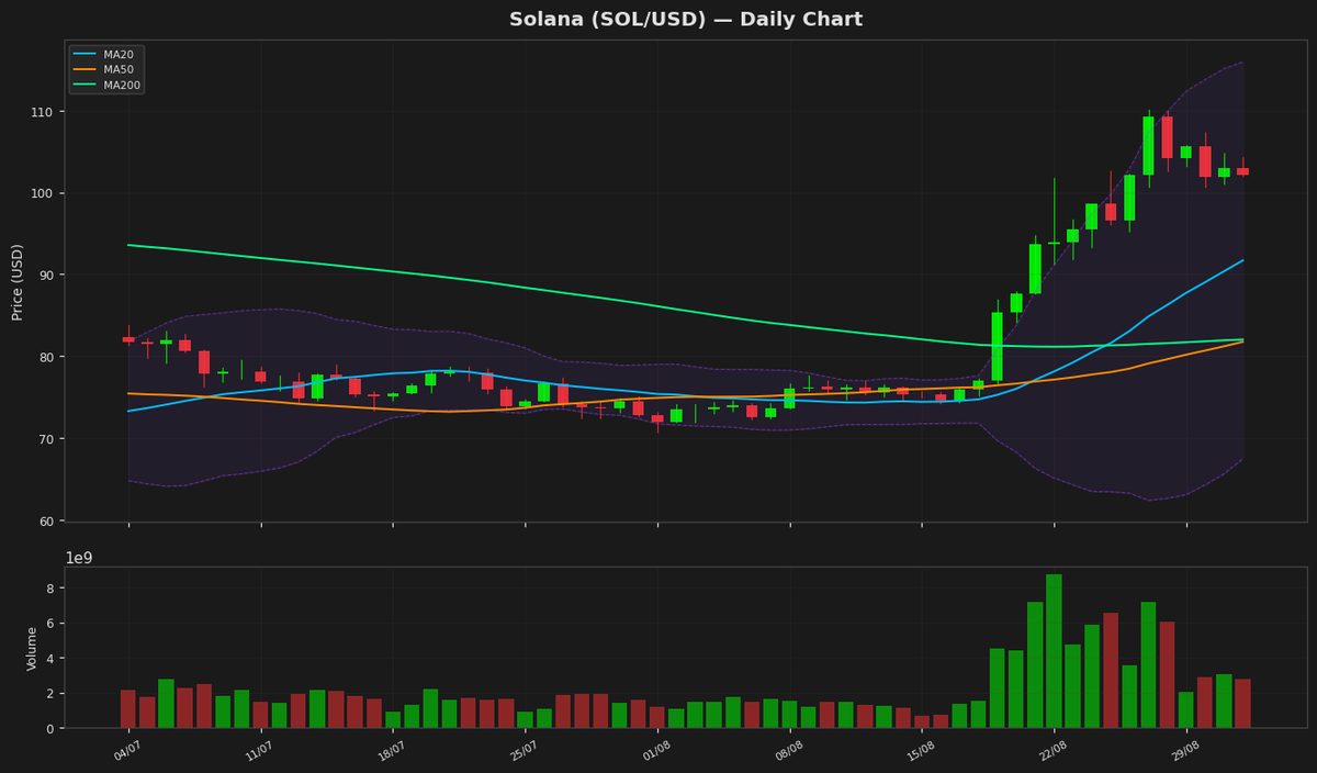 Solana Eyes $102 as RSI Nears Overbought Zone