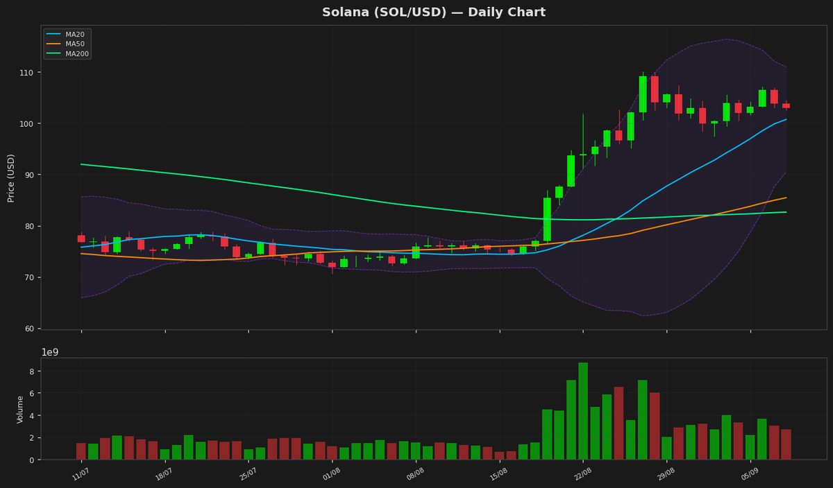 Solana Dips to $103 as RSI Hints at Potential Rebound