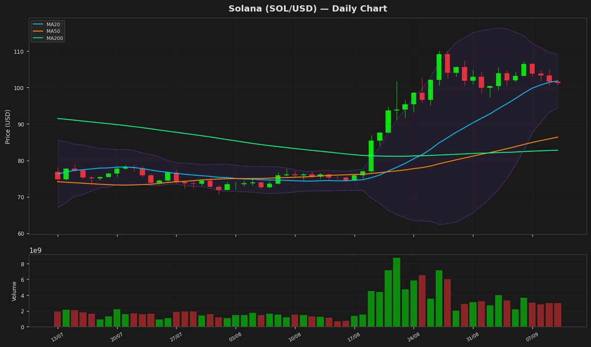 Solana Tests $101 as RSI Nears Oversold Territory