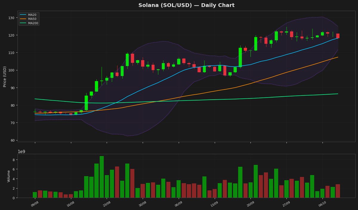 Solana Holds at $118 as RSI Nears Key Level Amid Dip