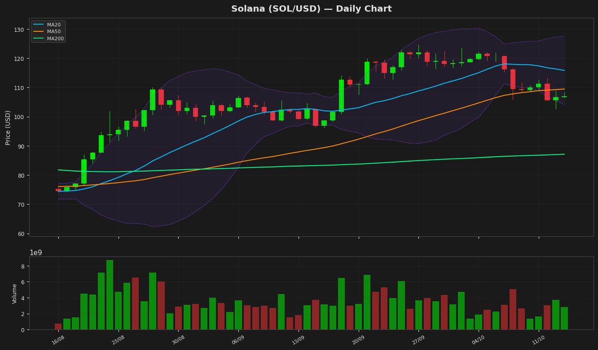 Solana Tests Key $106 Level as RSI Nears Oversold