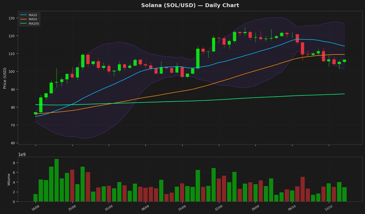 Solana at $106: Oversold RSI Hints at Rebound Potential