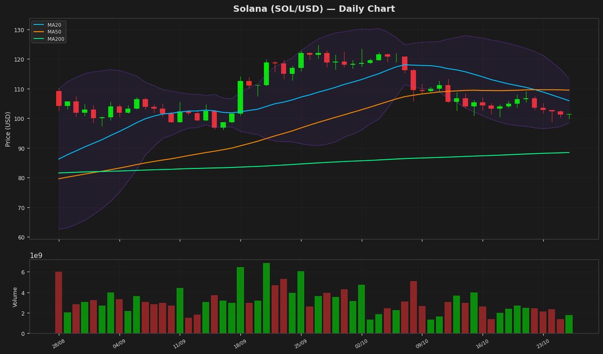 Solana Eyes Rebound as RSI Nears Oversold at $101.45