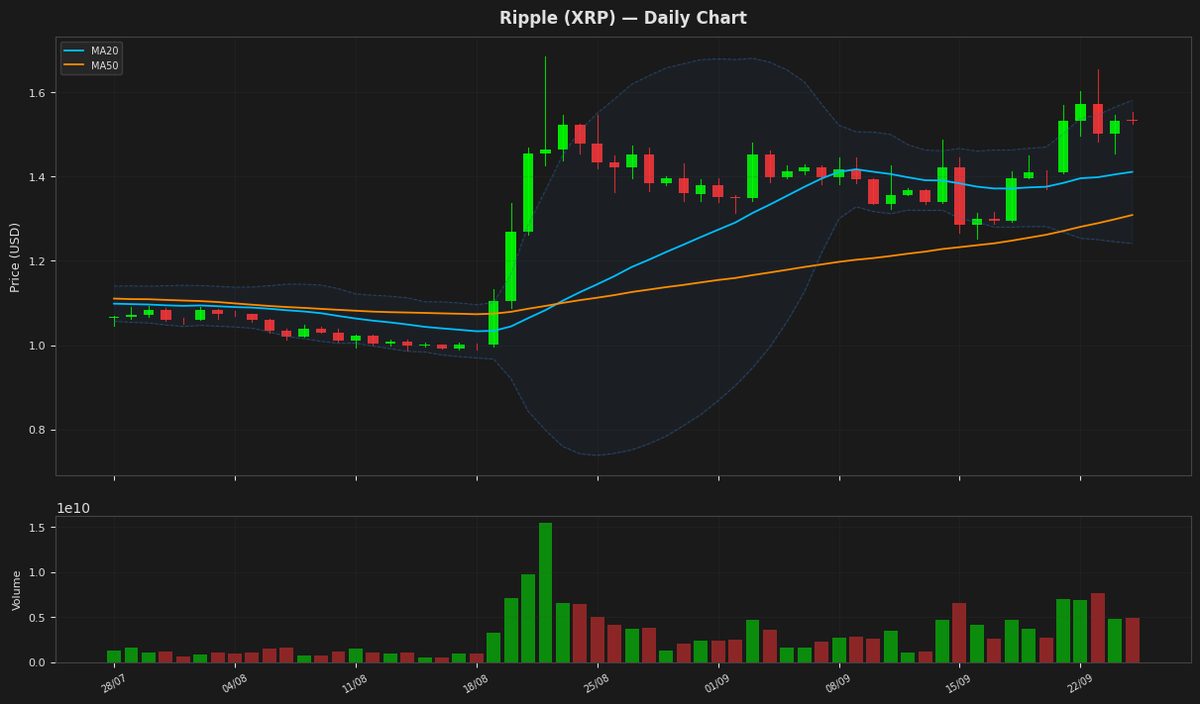Ripple chart