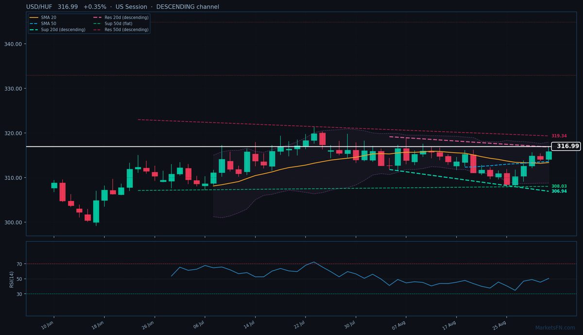USD/HUF: Up 0.35% to 316.99 — Descending Channel