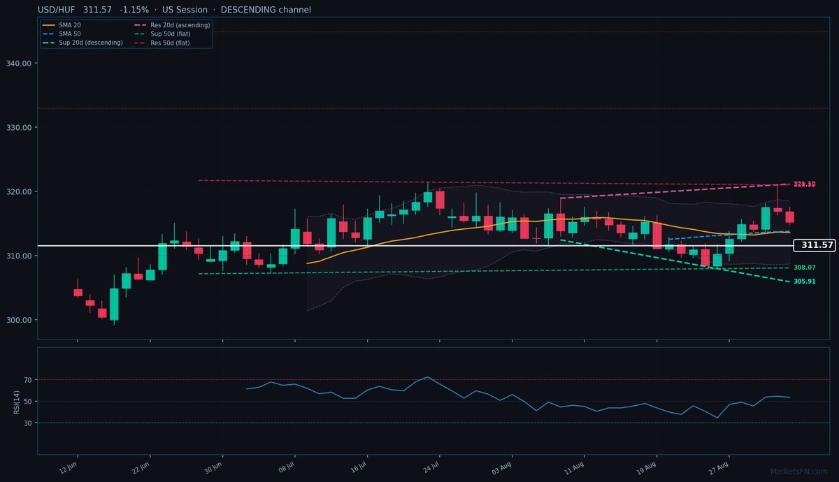 USD/HUF: in calo dell'1,15% a 311,57 — Canale discendente