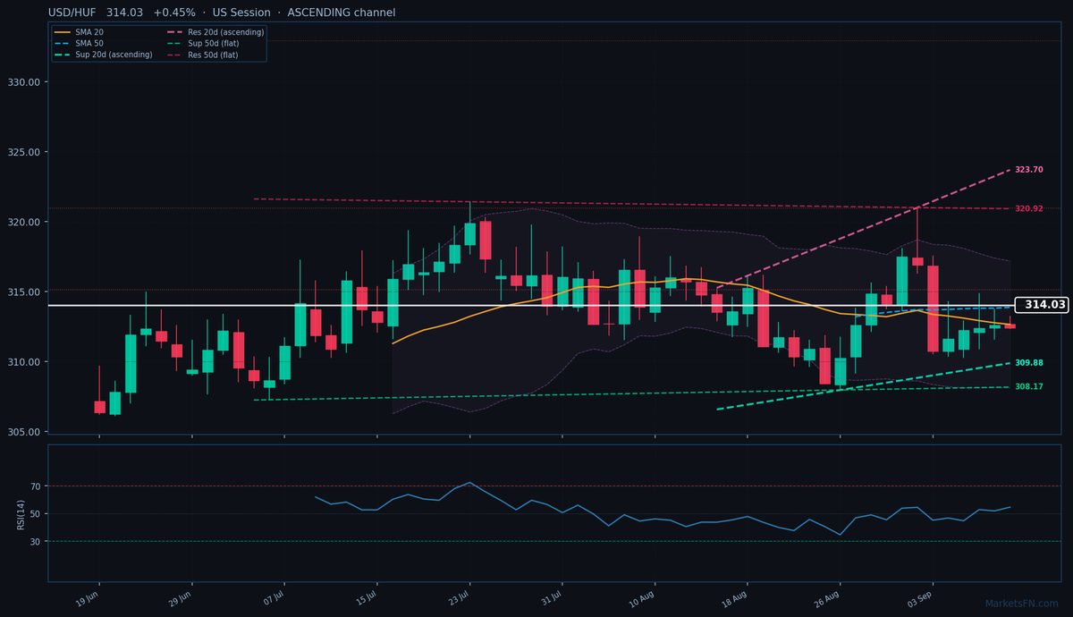 USD/HUF: Up 0.45% to 314.03 — Ascending Channel