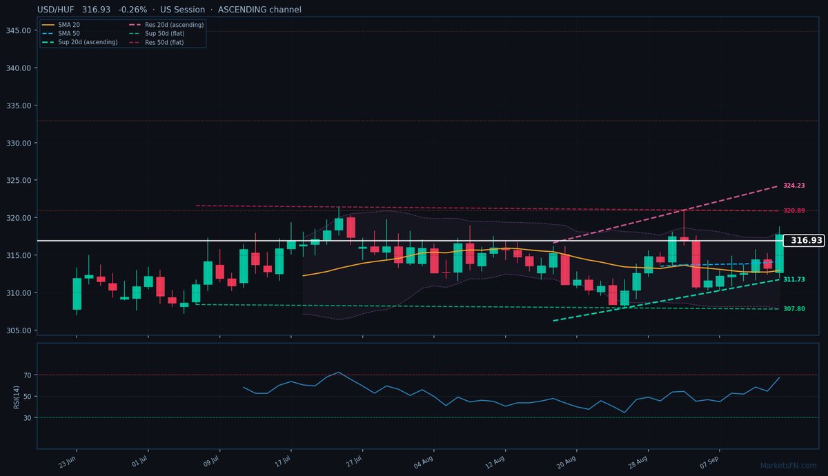 USD/HUF: Down 0.26% to 316.93 — Ascending Channel
