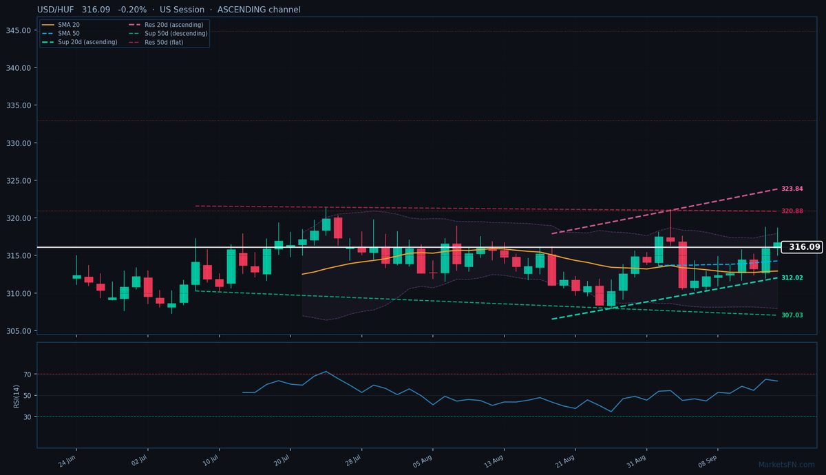 USD/HUF: Down 0.20% to 316.09 — Ascending Channel