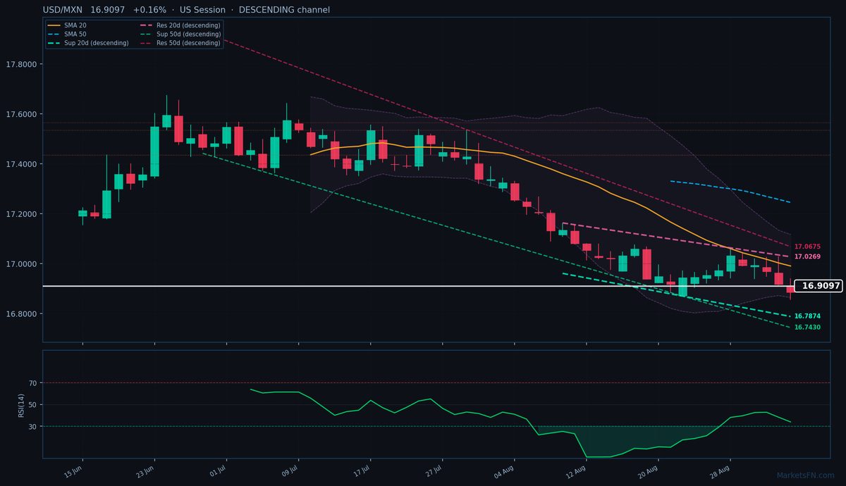 USD/MXN: Up 0.16% to 16.9097 — Descending Channel