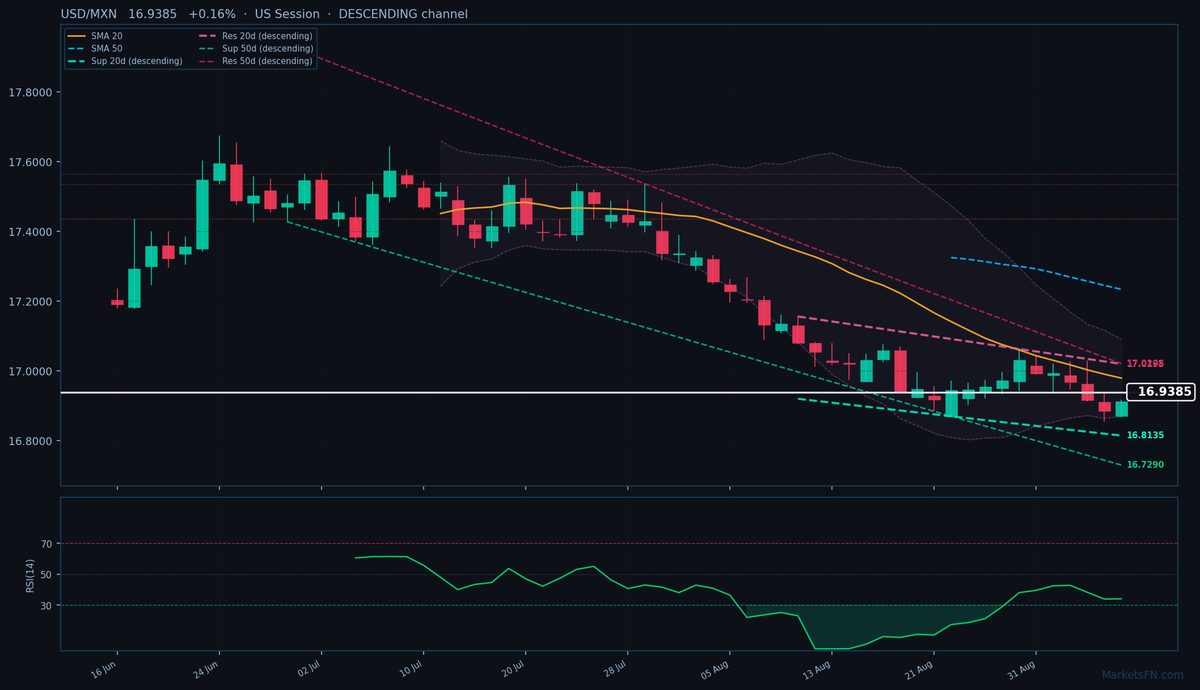 USD/MXN: Up 0.16% to 16.9385 — Descending Channel