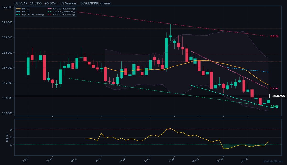 USD/ZAR: Up 0.30% to 16.0255 — Descending Channel